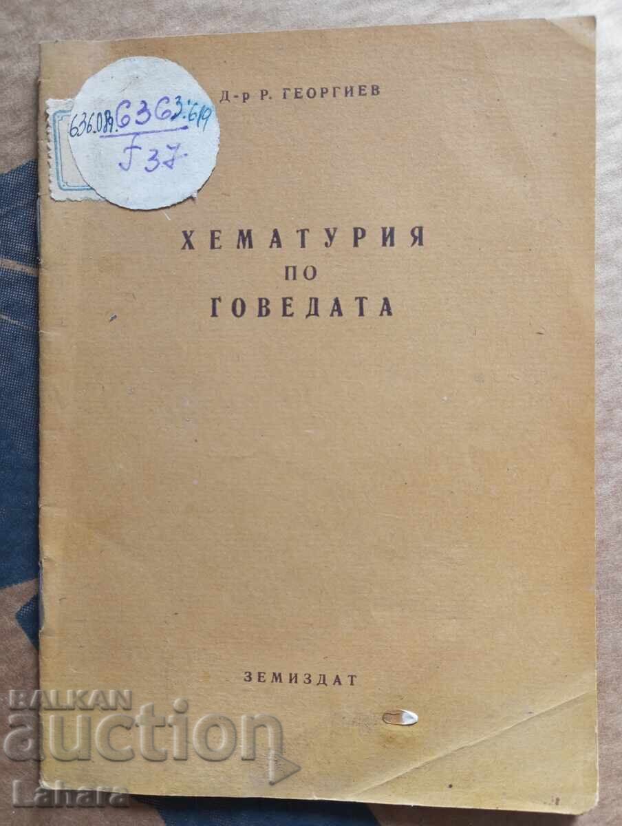 Hematuria in cattle Hematuria in cattle