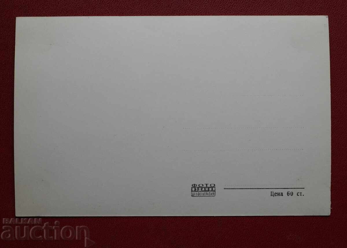 View from Dimitrovgrad with price 2.00 BGN | € 1.02