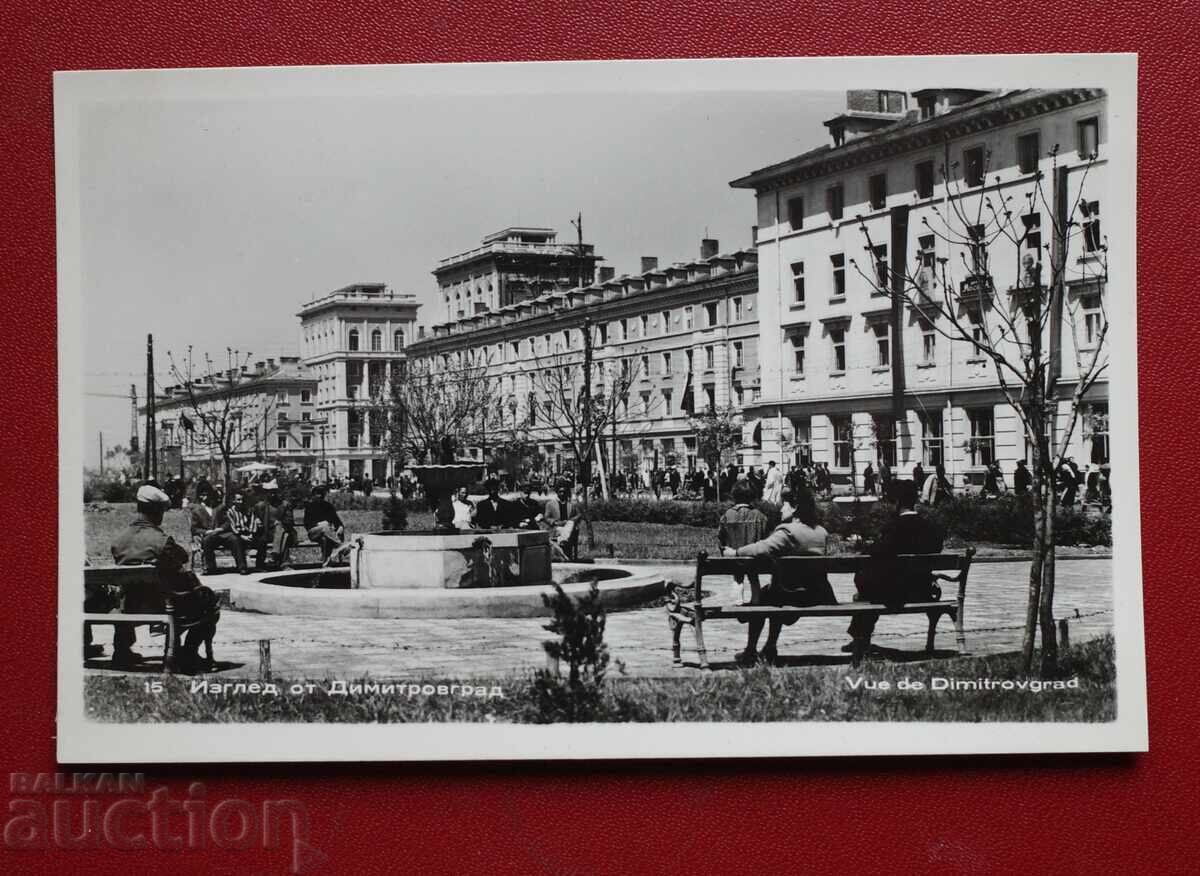 View from Dimitrovgrad