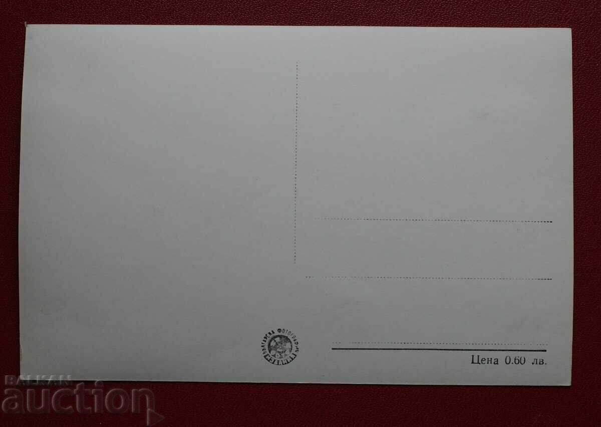 View from Dimitrovgrad with price 2.00 BGN | € 1.02