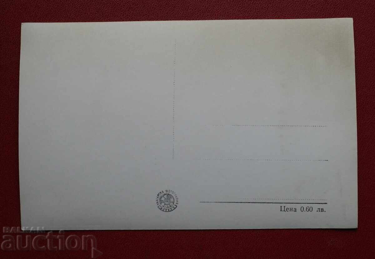 View from Dimitrovgrad with price 2.00 BGN | € 1.02