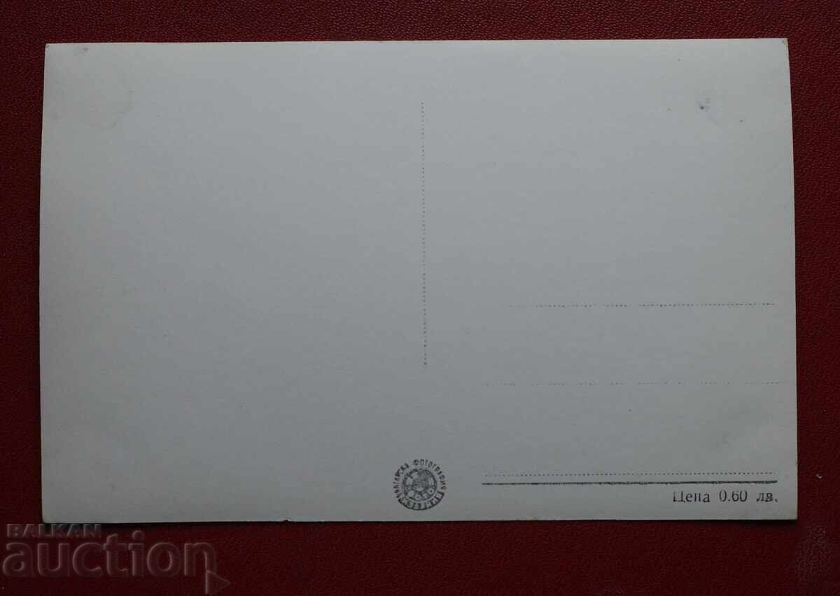 View from Dimitrovgrad with price 2.00 BGN | € 1.02