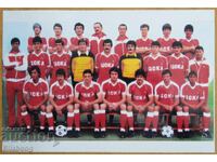 Fotografie de fotbal - Reproducere CSKA A4