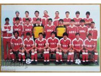 Football photo - CSKA reproduction A4