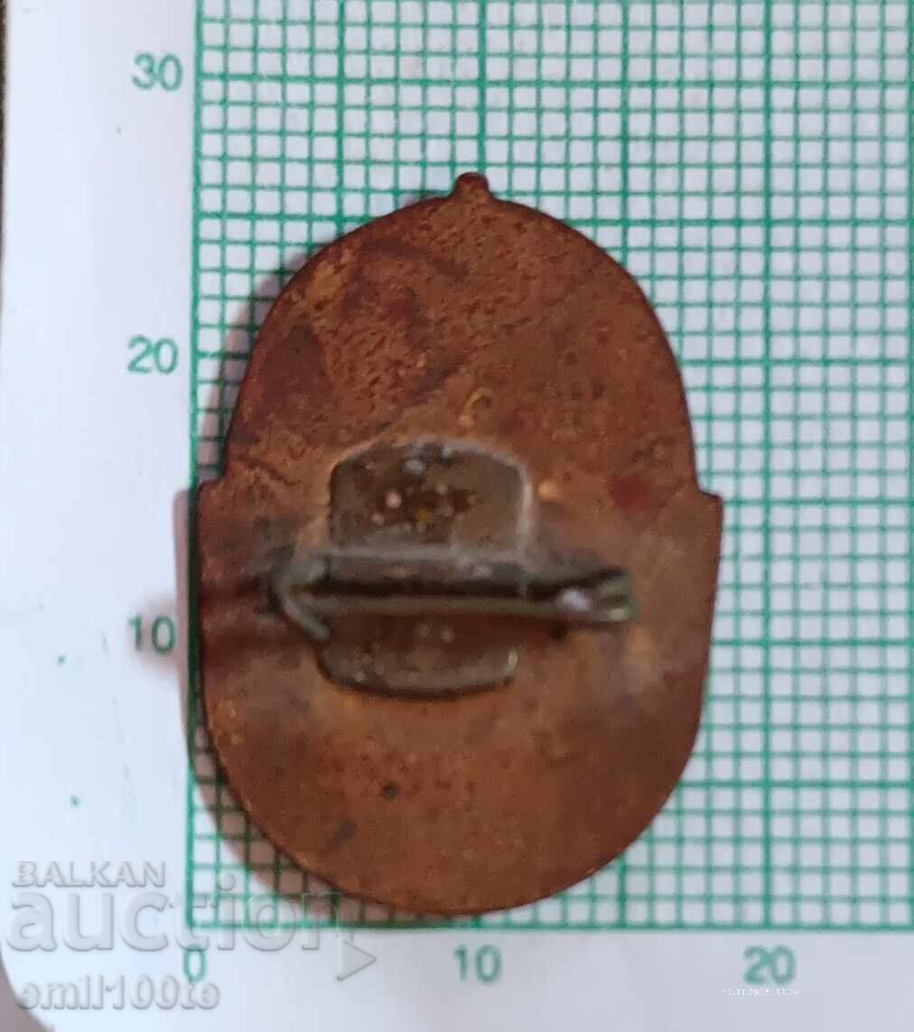 Delivery of Badge - 25 years SMO Inzhstroy 1948 1973