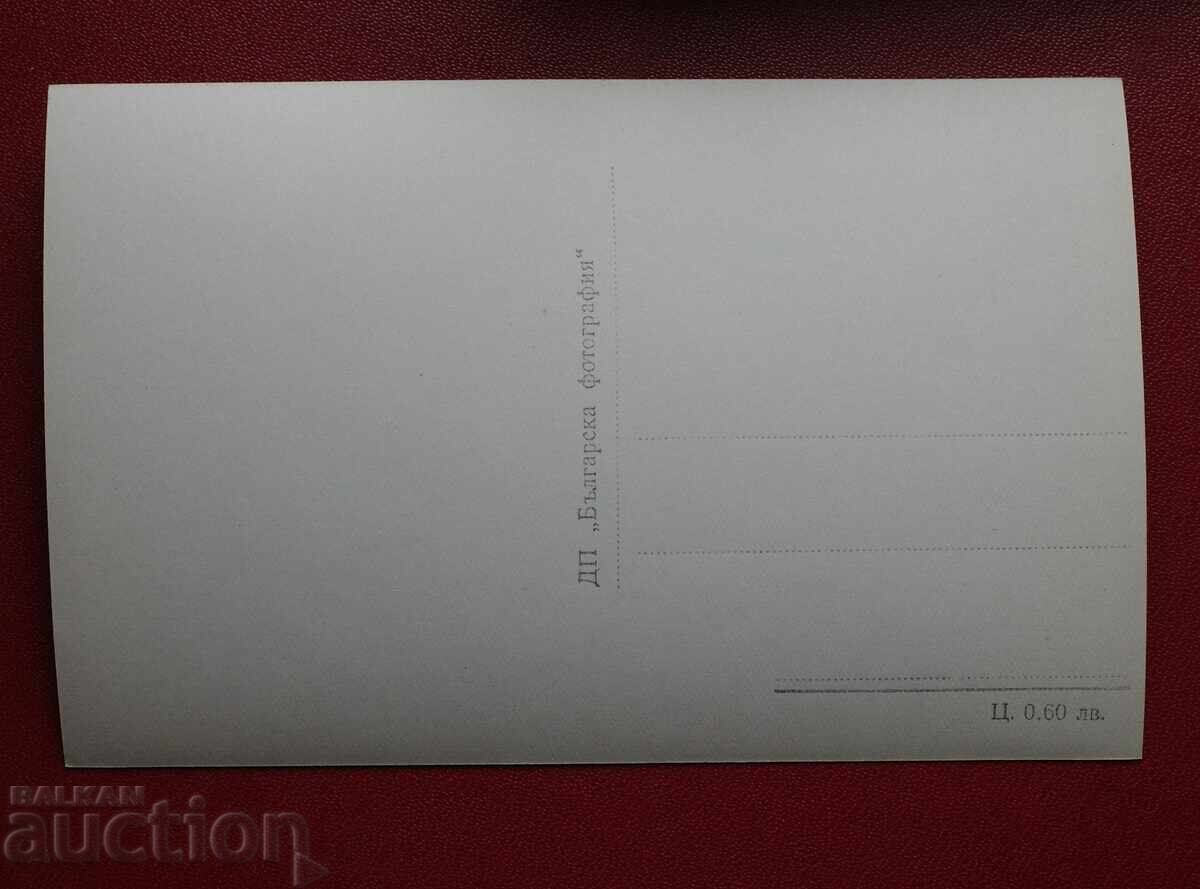 Koprivshtitsa - Γενική θέα με τιμή 3.00 BGN | € 1.53