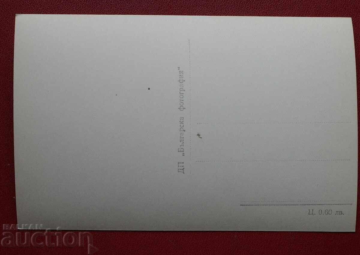 Stinging nettle with price 1.00 BGN | € 0.51