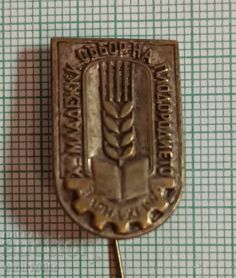 Badge - Youth Harvest Festival Varna 1976 Badge - Youth Harvest Festival Varna 1976