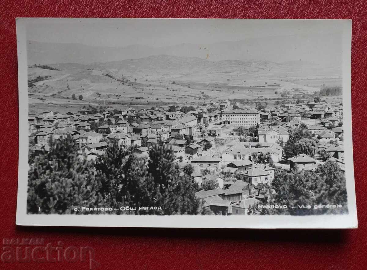 Σ. Ραkitovo - Γενική θέα