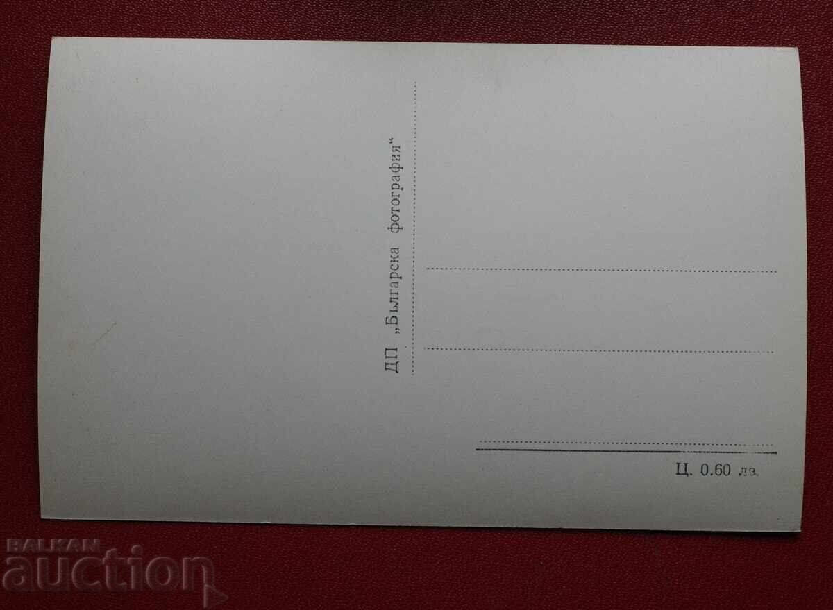 Koprivshtitsa - Δασικό Κλιματικό Σχολείο με τιμή 5.00 BGN | € 2.56 Koprivshtitsa - Δασικό Κλιματικό Σχολείο με τιμή 5.00 BGN | € 2.56