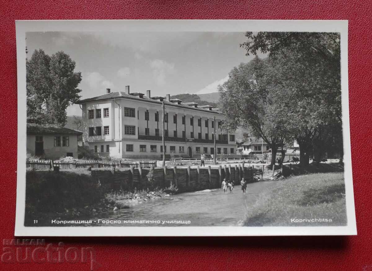 Koprivshtitsa - Δασικό Κλιματικό Σχολείο Koprivshtitsa - Δασικό Κλιματικό Σχολείο