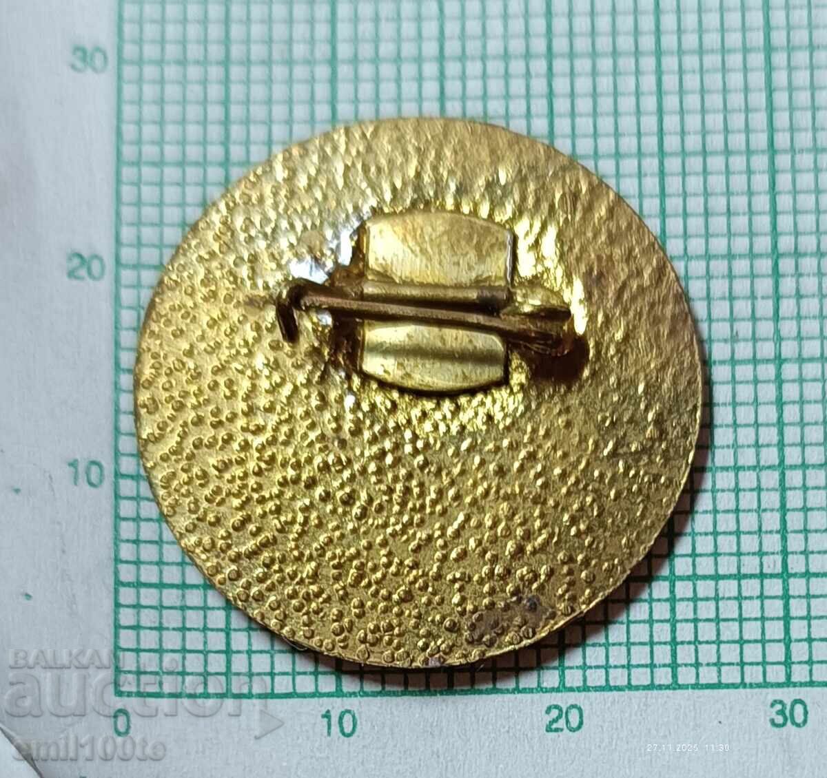 Badge - Princess Raina 1876 - 6 Badge - Princess Raina 1876 - 6