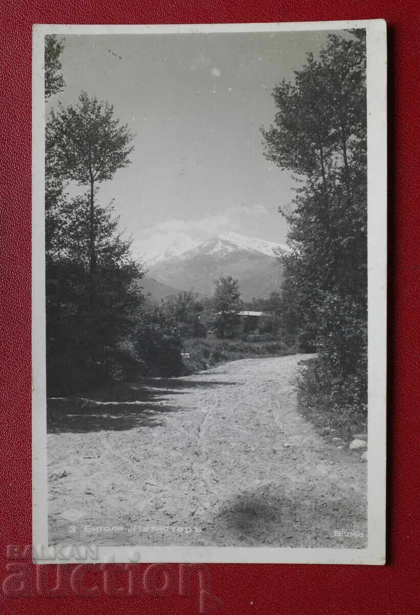 Πάσκωφ - Μπίτολα Περίστερ Πάσκωφ - Μπίτολα Περίστερ