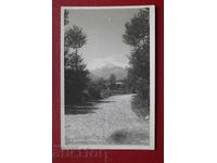 Πάσκωφ - Μπίτολα Περίστερ