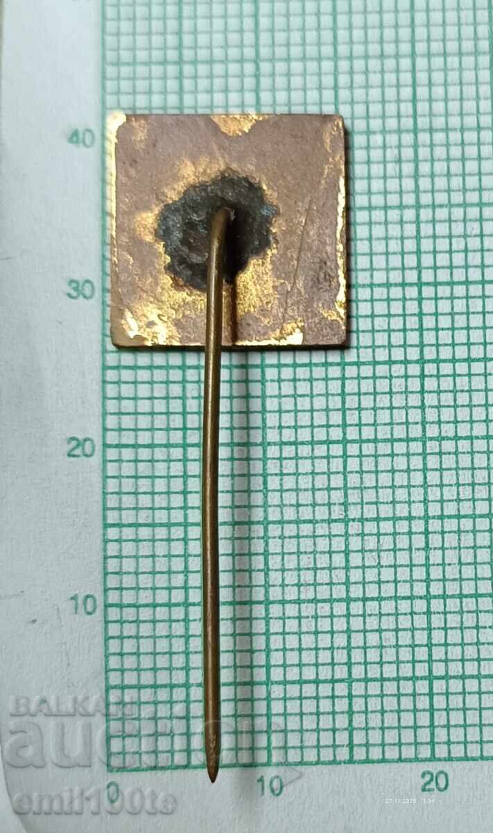 Insigna - DIP Sabi Dimitrov Sliven - 7