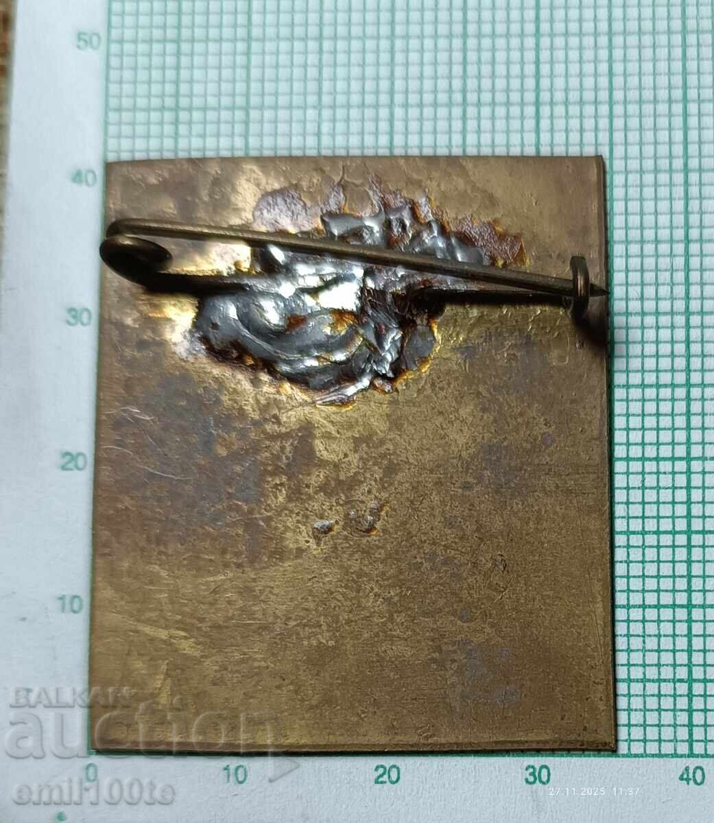 Badge - TNTM Organizer - 5