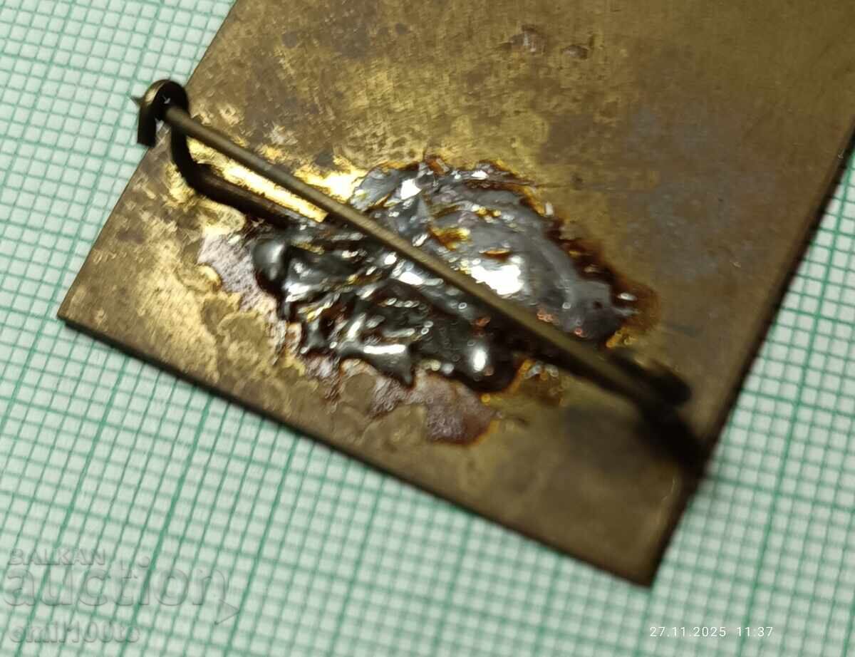 Badge - TNTM Organizer - 6