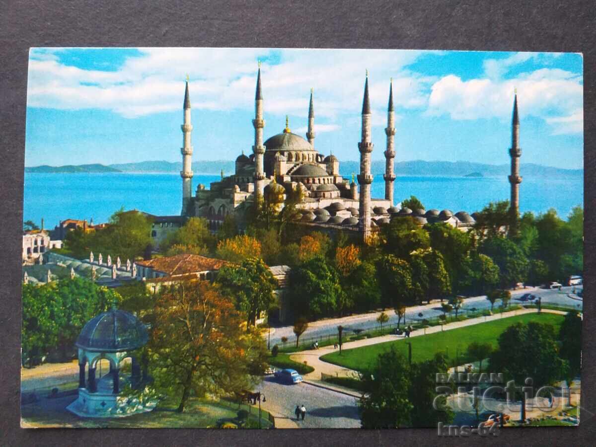 Туршия Туршия