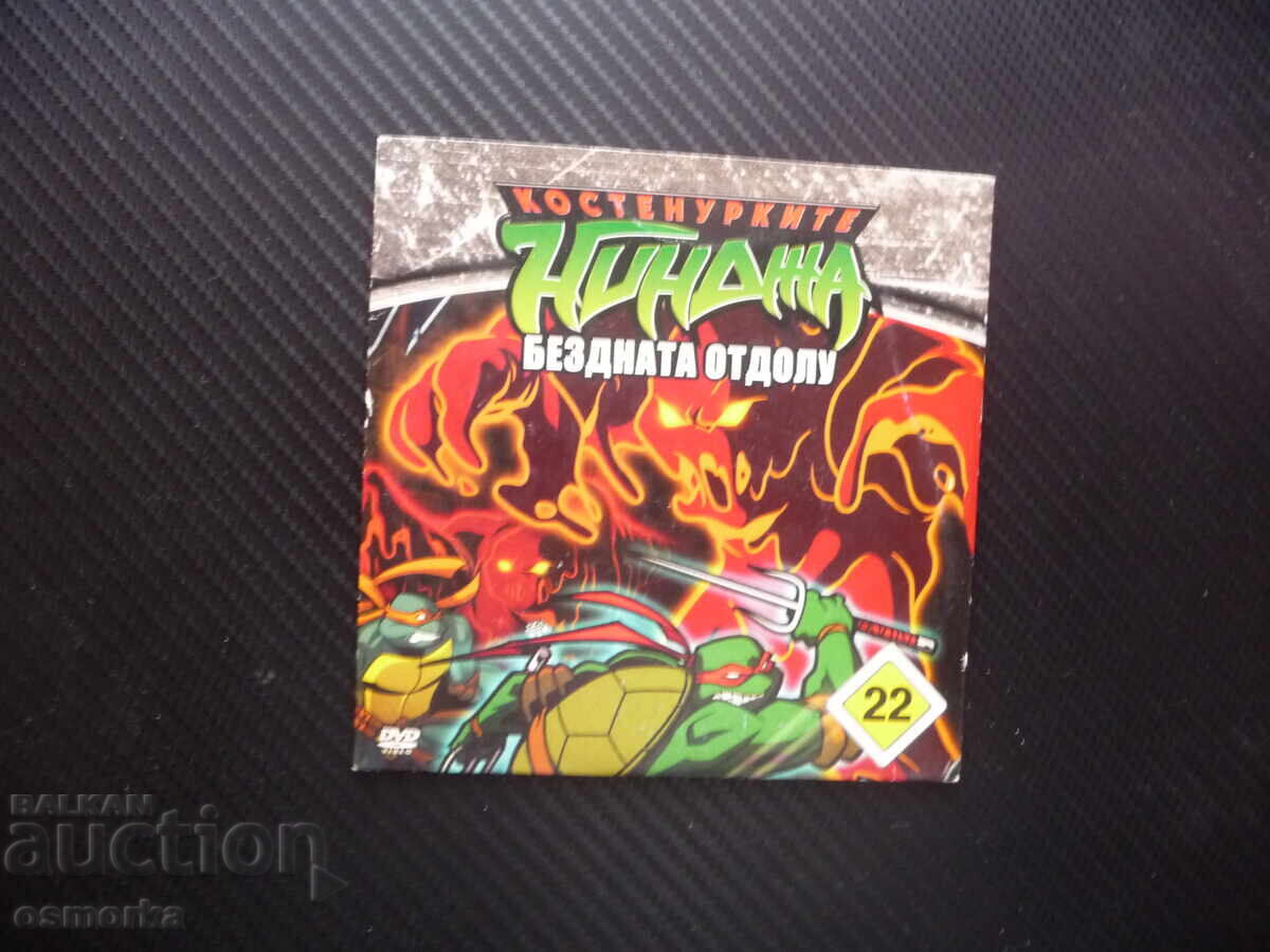 Teenage Mutant Ninja Turtles 22 DVD Movie The Abyss Below Mistress N