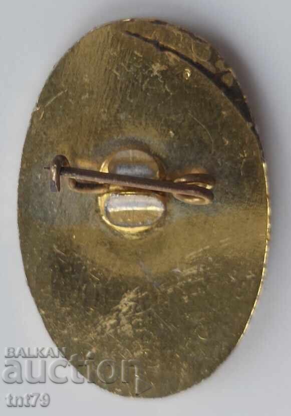 Badge: 100 g. National Museum of Natural History Sofia - eagle with price € 1.60 | 3.13 BGN