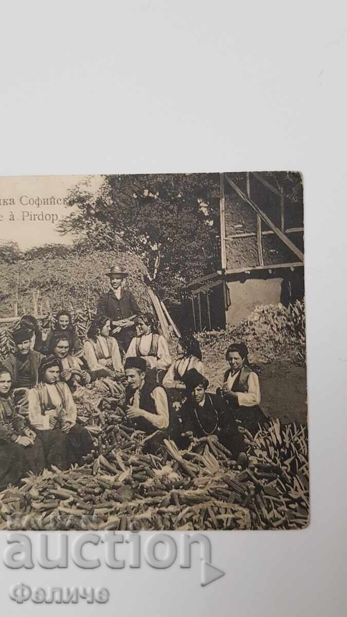 Bulgarian postal photo postcard - Pirdop Seated Gathering - 1908 - 6