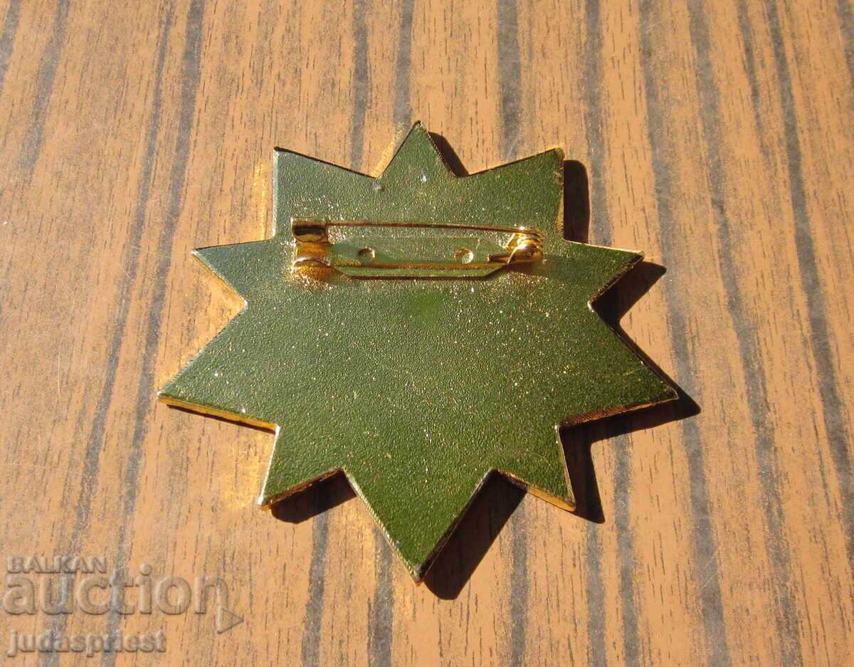 Chinese Star Order Badge for Graduated Military Academy - 5