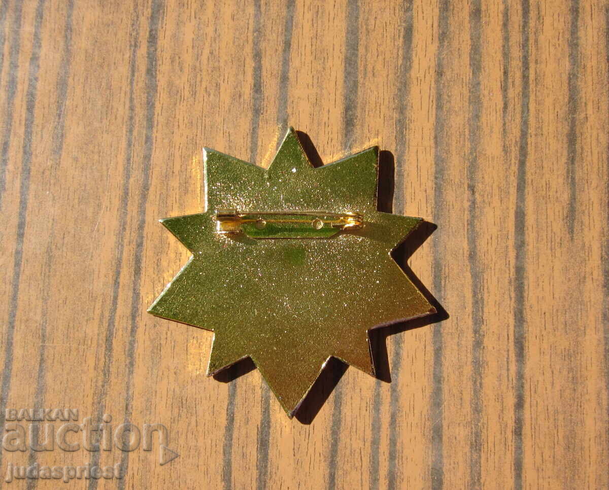 Chinese Star Order Badge for Graduated Military Academy - 6