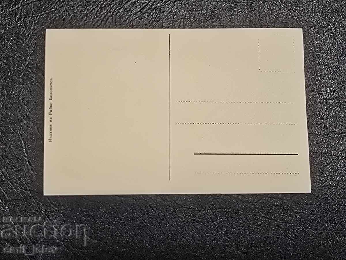 Παναγιούριστε-Βασίλειο της Βουλγαρίας-Κρατικό φυτώριο με τιμή 14.99 BGN | € 7.66 Παναγιούριστε-Βασίλειο της Βουλγαρίας-Κρατικό φυτώριο με τιμή 14.99 BGN | € 7.66