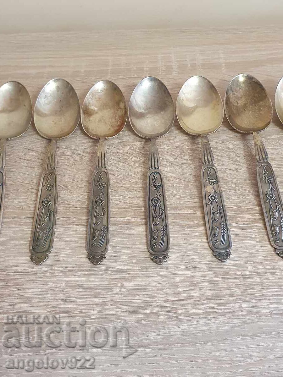 Licitație 8 linguri EXTRA PRIMA Licitație 8 linguri EXTRA PRIMA