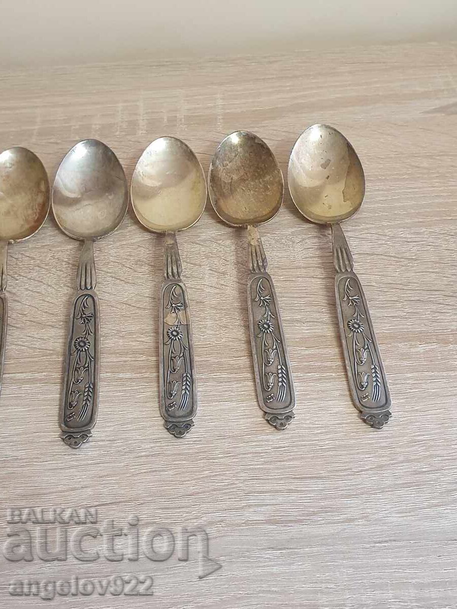 Livrarea 8 linguri EXTRA PRIMA Livrarea 8 linguri EXTRA PRIMA