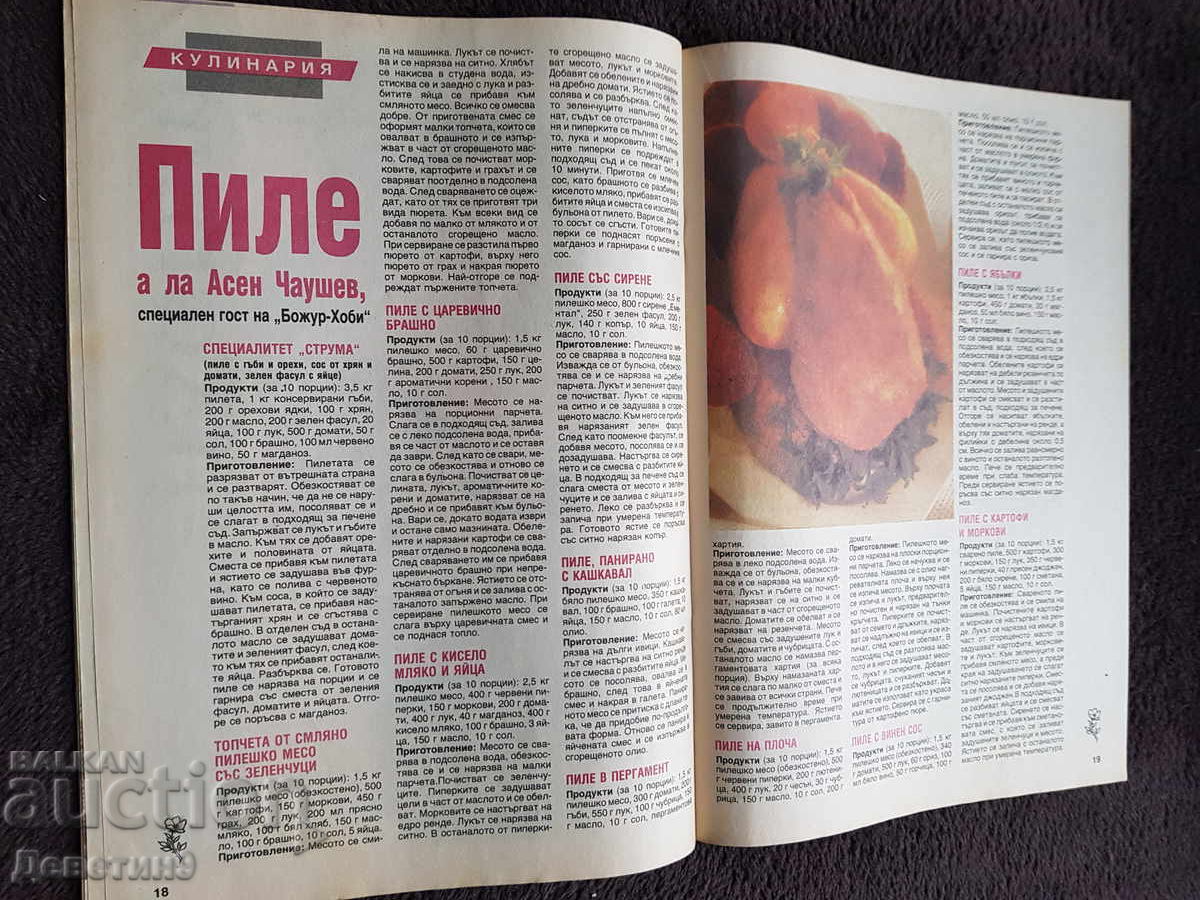 Magazine "Božur - hobby" - No. 2, 1993 - 7