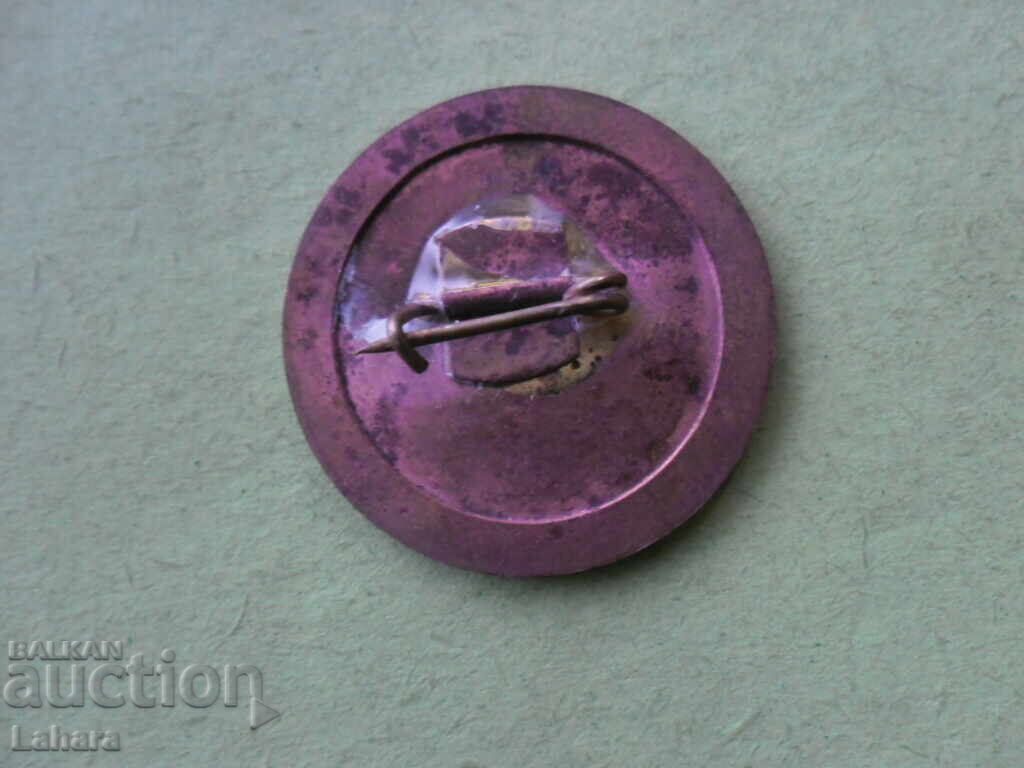 Badge with price 0.32 BGN | € 0.16