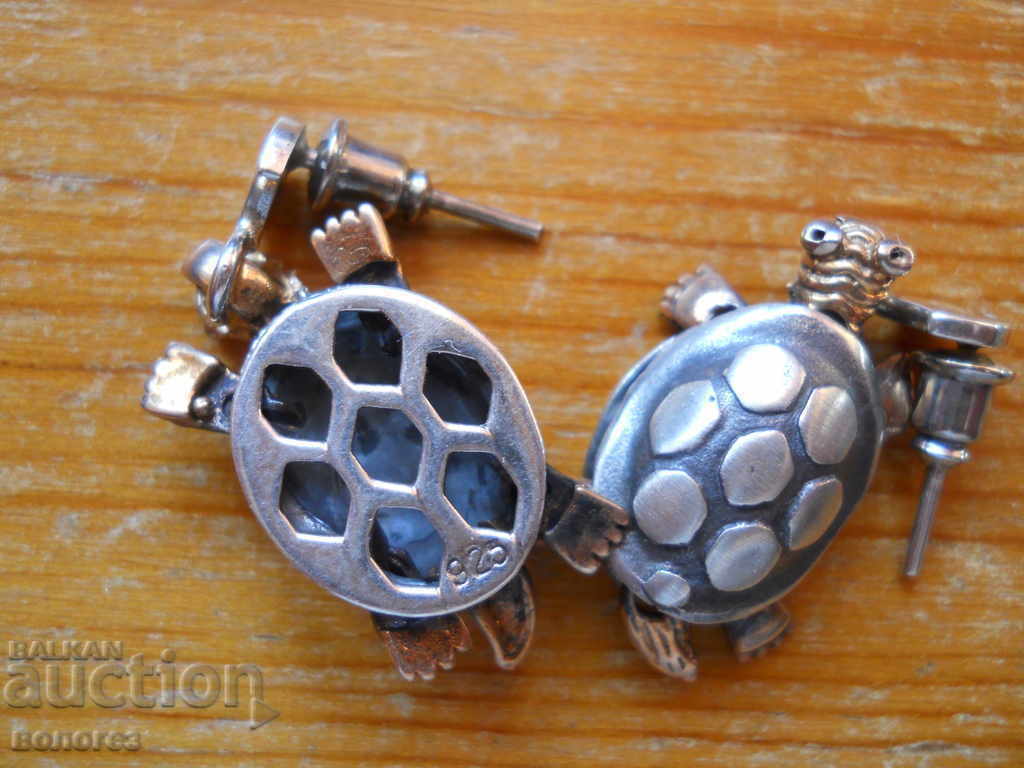 Μοναδικό σετ από ασήμι (βραχιόλι και σκουλαρίκια) - 5 Μοναδικό σετ από ασήμι (βραχιόλι και σκουλαρίκια) - 5