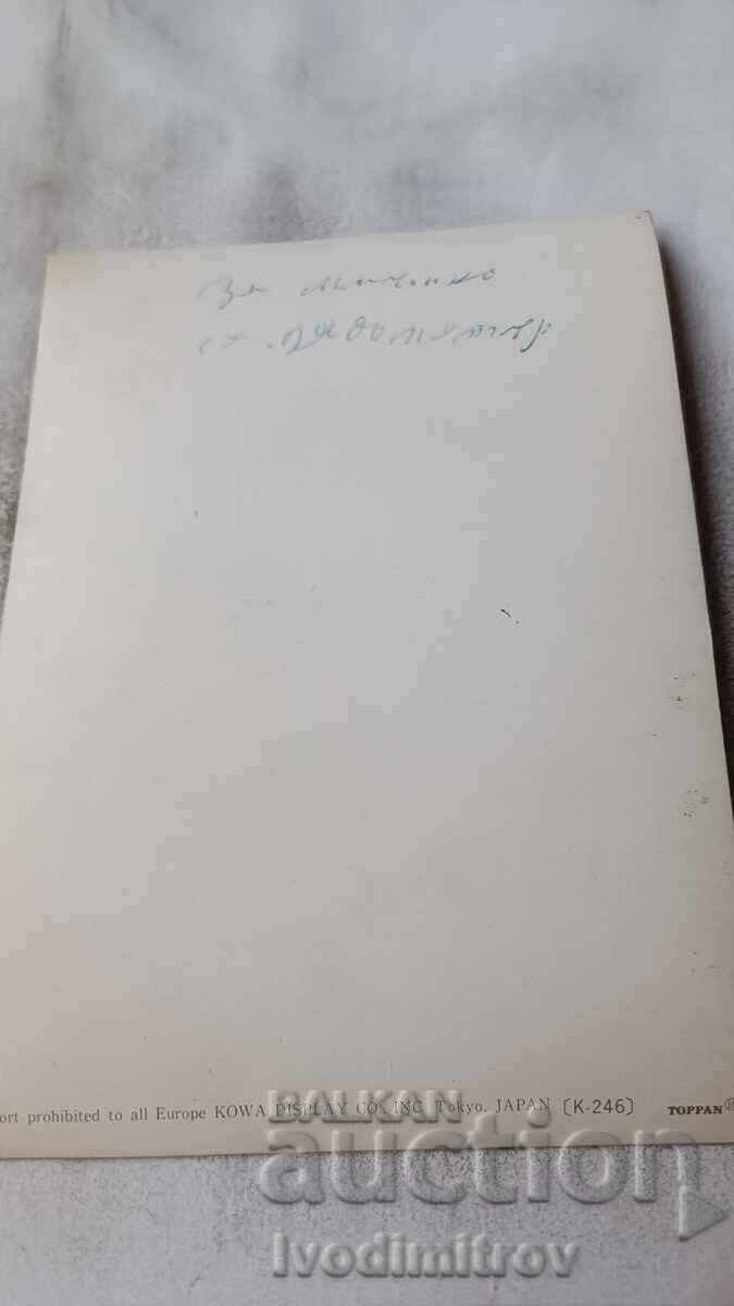 Στερεοσκοπική κάρτα με Γιαπωνέζα που αναβοσβήνει με τιμή 2.45 BGN | € 1.25