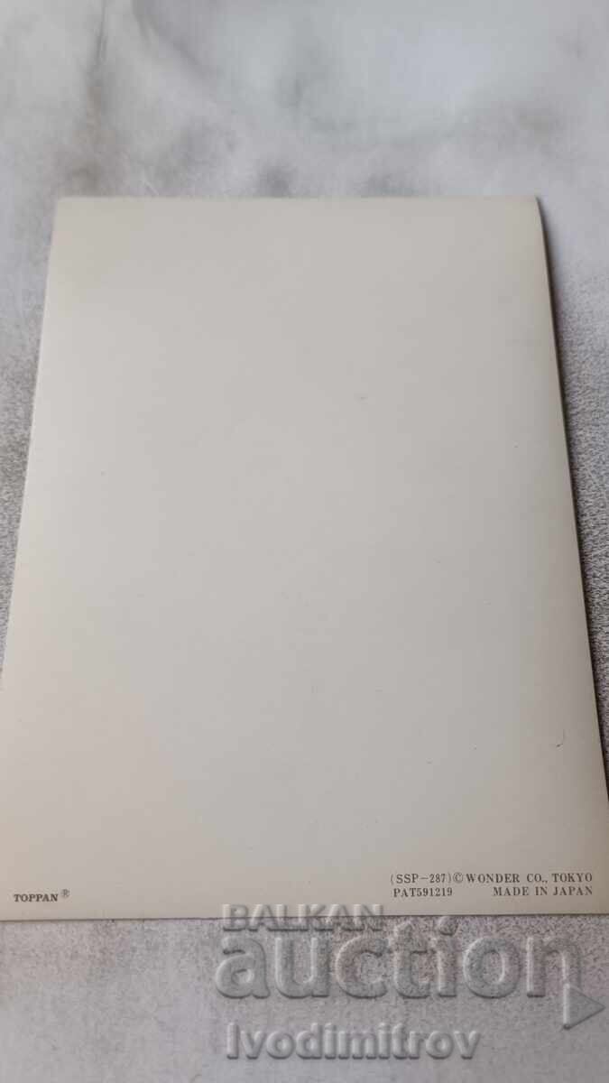 Стереокартичка Намигаща японка с флейта с цена 2.45 лв. | € 1.25 Стереокартичка Намигаща японка с флейта с цена 2.45 лв. | € 1.25