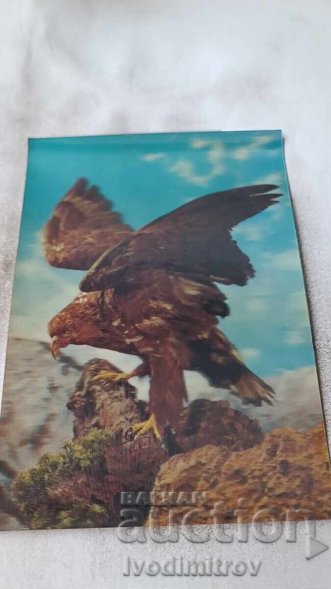 Stereo Card Eagle Toppan Made in Japan