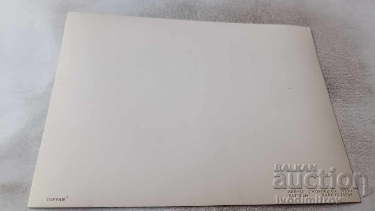 Στερεοσκοπική κάρτα Γαλοπούλες Toppan Made in Japan με τιμή 2.45 BGN | € 1.25