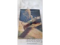 Στερεοσκοπική κάρτα Κοσμοναύτες Β. Λιάχοφ και Β. Ριούμιν 1981