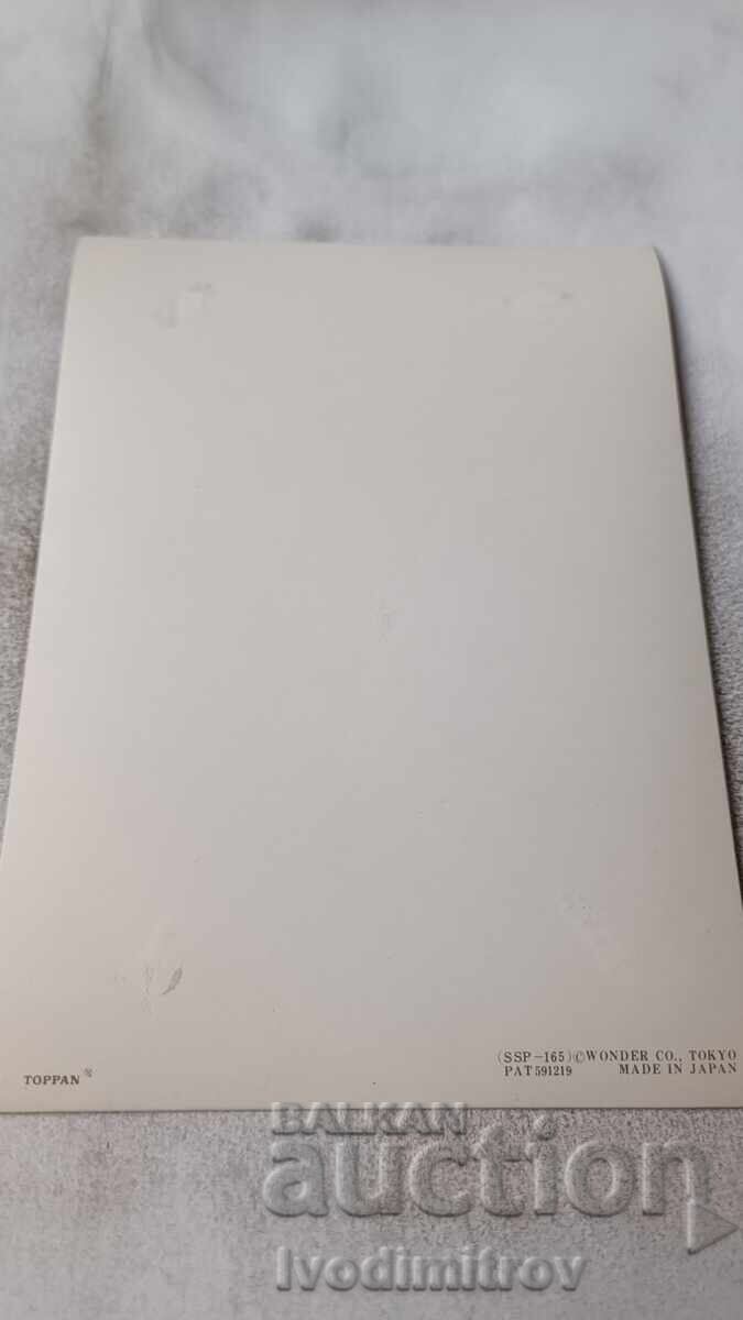 Stereo Card The Nativity of Jesus Toppan Made in Japan with price 2.35 BGN | € 1.20