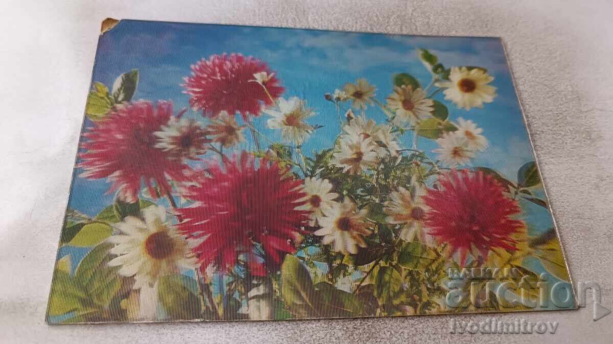 Стереокартичка Цветя Стереокартичка Цветя