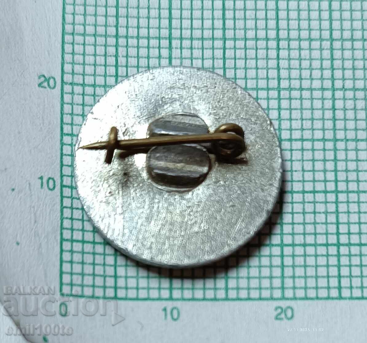 Insigna - stema Provadia - 5