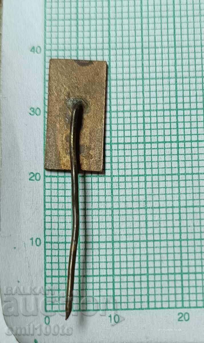 Livrarea Insigna - stema Kotel