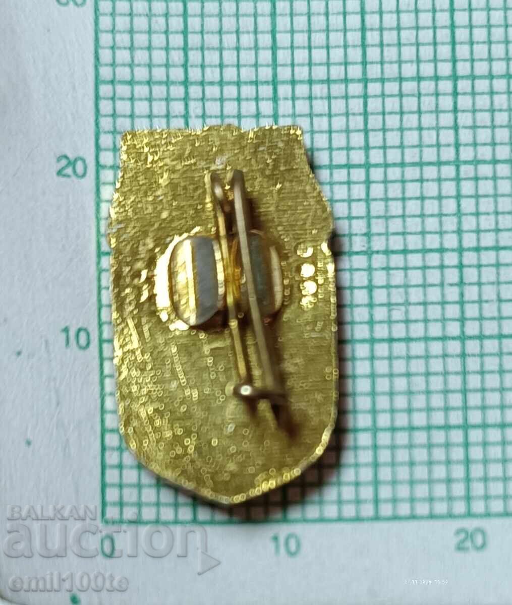 Badge - Lom coat of arms - 7