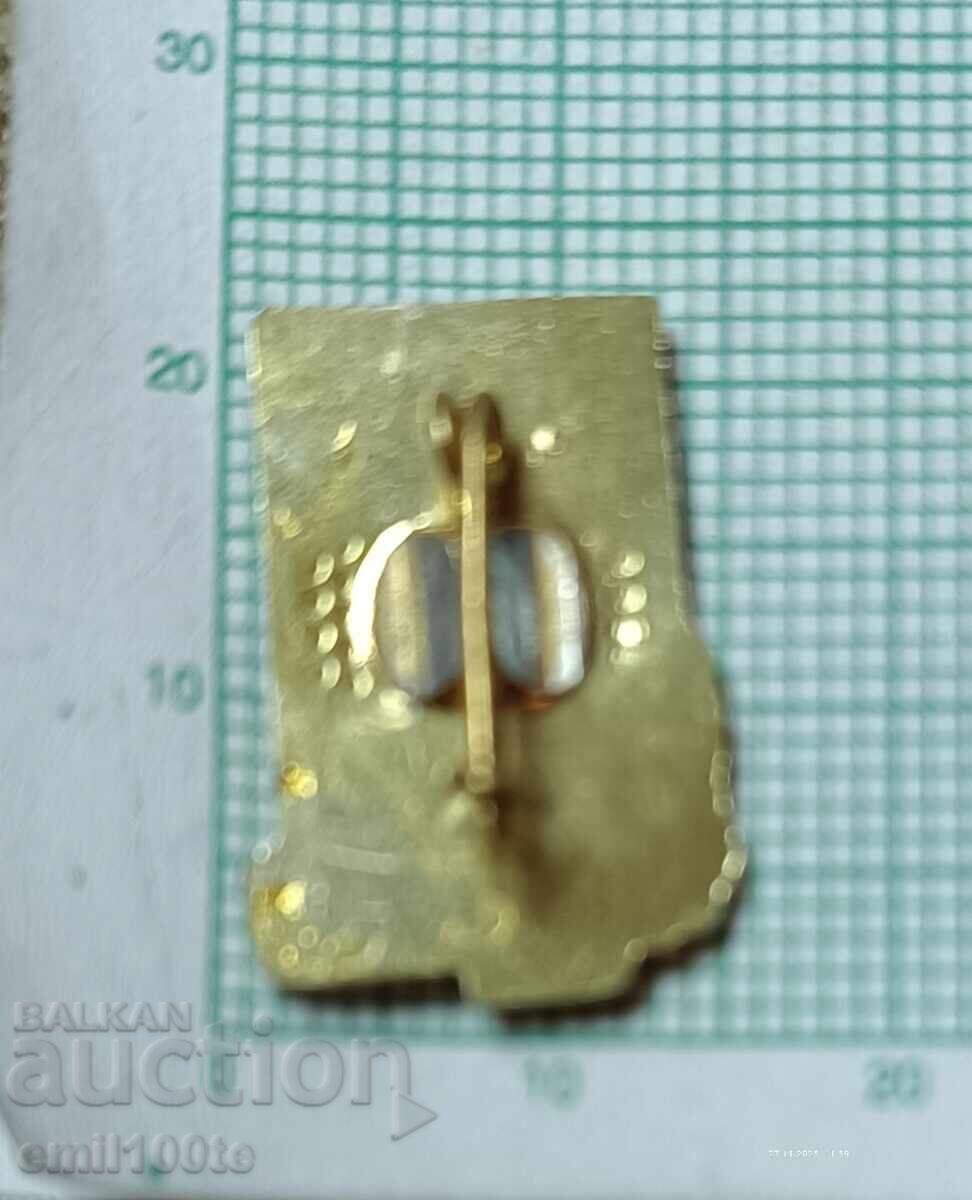 Livrarea Insigna - stema Razgrad Livrarea Insigna - stema Razgrad