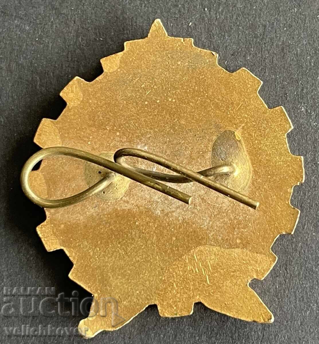 Bulgaria Cockade Textile Technical School Sofia Enamel 1950s with price 25.00 BGN | € 12.78