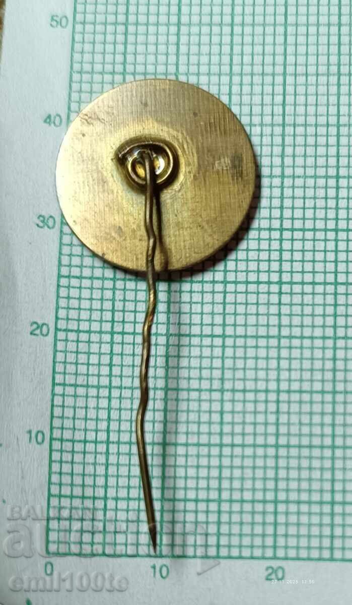 Insigna - stema Sofia - 5 Insigna - stema Sofia - 5