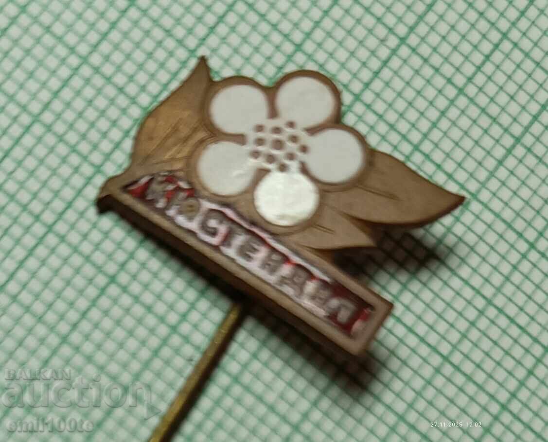 Аукцион Значка- Кюстендил