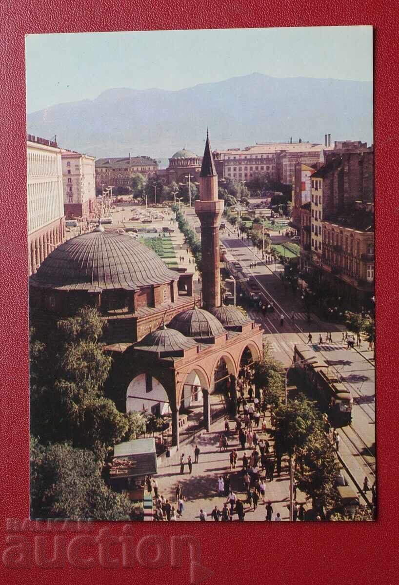 Σοφία Σοφία