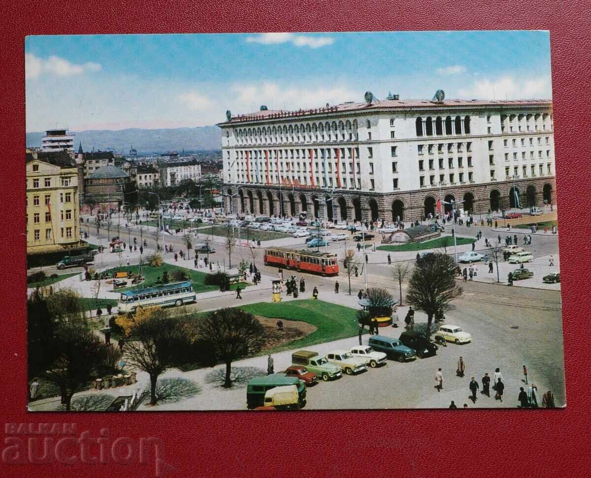 Σοφία Σοφία