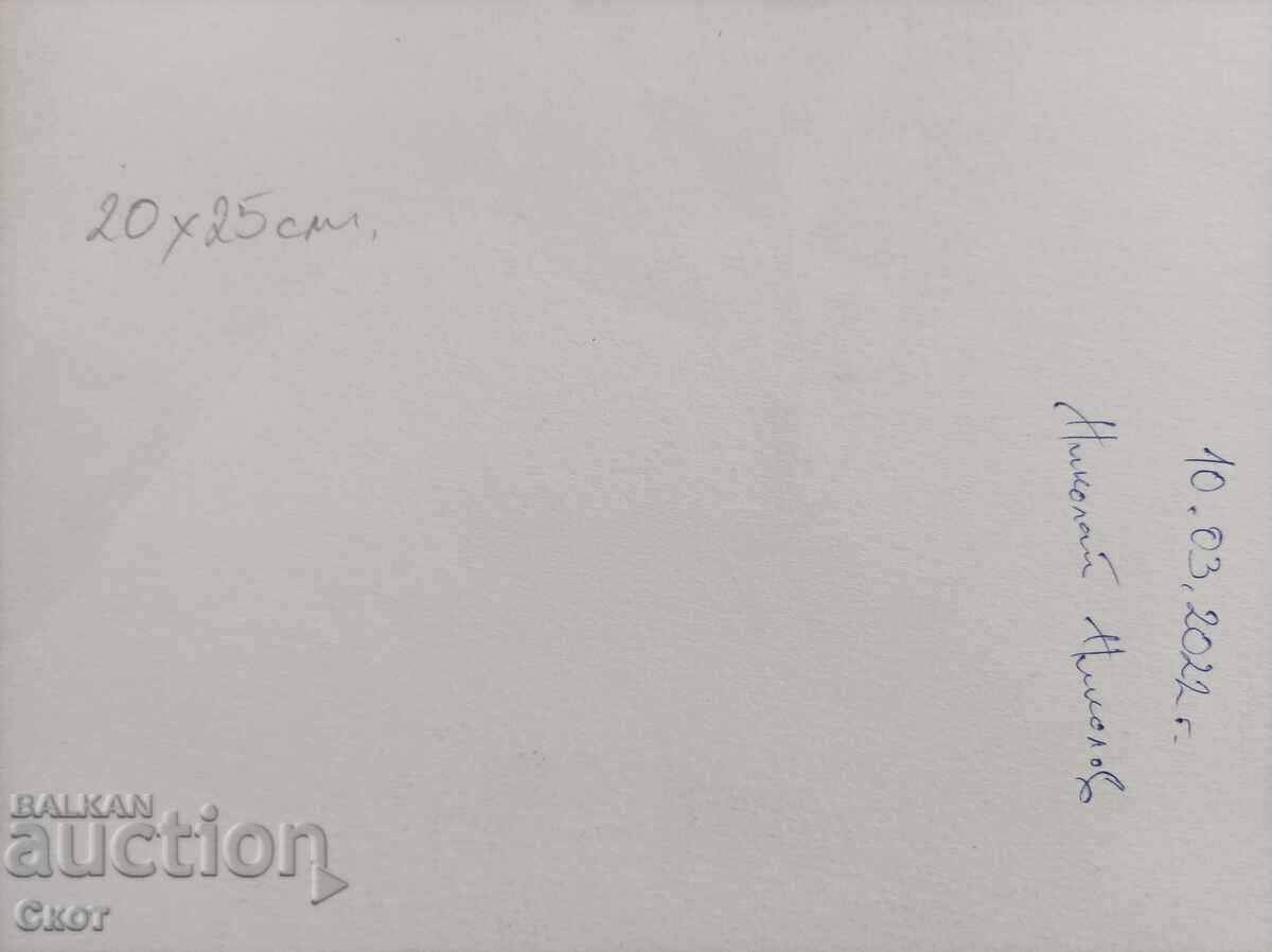 Рисунка с химикал с цена € 18.92 | 37.00 лв.